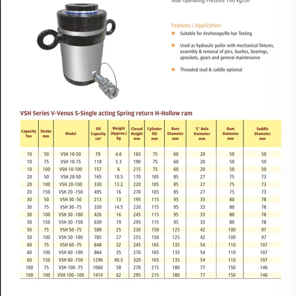 Hollow Ram Hydraulic Cylinders